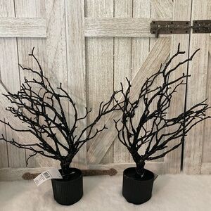 Target BP 2022 Halloween Trees